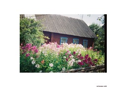 Продам деревянный дом в Беларуси г. Городок, Городокский раон, Витебская область