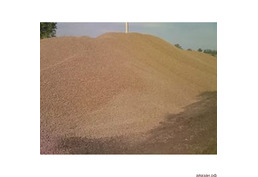 Продажа и доставка строительного песка.