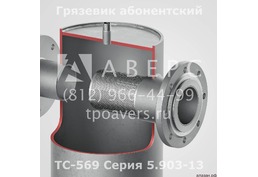 Грязевик ТС-569.00.000-11 абонентский Ду 80 Ру 1,6